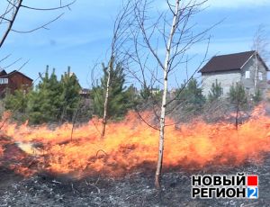 Природный пожар под Екатеринбургом – пламя подбирается к домам (ФОТО, ВИДЕО)