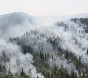 «Якутскэнерго» оштрафовали за лесной пожар