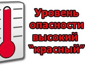 В Москве объявлен высший уровень опасности жары и загрязнения воздуха