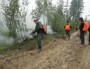 В Якутии продолжают тушить лесные пожары