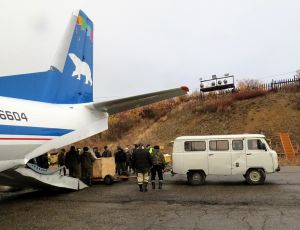 В арктической зоне Якутии продолжают расселять овцебыков (ФОТО)