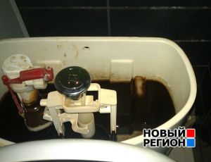 «Толстым слоем...»: у жителя Екатеринбурга из-за ржавой воды вышел из строя унитаз (ФОТО)