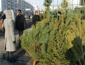 Завтра в Москве откроются елочные базары