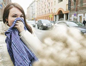 Жители Петербурга просят власти города хоть что-нибудь сделать с пылью