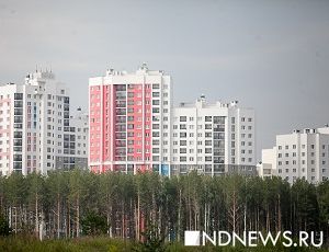 Ведущие медики Екатеринбурга одобрили план строительства медкластера в Академическом