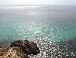 У берегов Крыма практически не осталось камбалы и пиленгаса, исчезают рапан и калкан