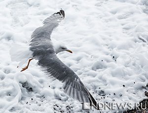 В Турции пропали 14 кораблей с мятежниками, 4 из них «прячутся» в Черном море