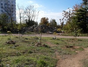 В Севастополе прошел тендер по обустройству парка, спасённого горожанами от застройки