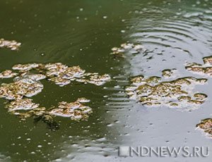 Крупнейшая река Крыма становится все грязнее