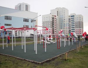 Олимпийские чемпионы открыли в Академическом районе новую площадку для воркаута (ФОТО)