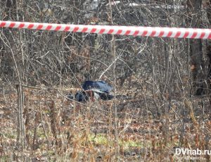 В Комсомольске-на-Амуре задержали вероятного убийцу-головореза