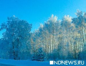 Декабрь 2016 года в Свердловской области стал самым холодным за последние 14 лет