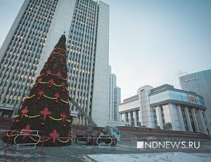 Как выглядит елка за 3,5 миллиона: у заксо собрали новогоднюю поделку (ФОТО)