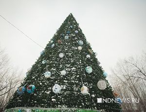 В парке Маяковского установили новогоднюю елку