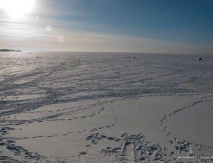 Селфи на морозе едва не погубило итальянок в Новосибирске