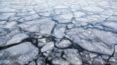 Площадь льда вокруг Антарктиды рекордно сократилась