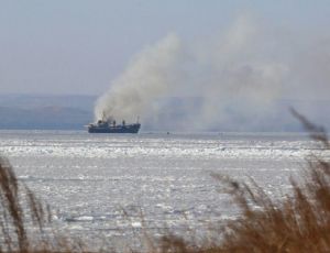 В заливе Владивостока сгорел сухогруз (ФОТО)