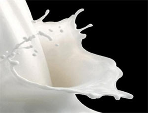 Россия планирует вытеснить с рынка белорусских молочников