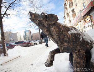 Уголовное дело «хабаровских живодерок» направлено в суд