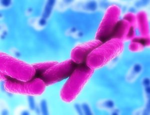 «Супербактерия» убивает 25 тысяч европейцев ежегодно / Ученые бьют тревогу