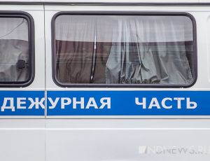 В Подмосковье внучка с двумя друзьями задушила и сожгла свою 86-летнюю бабушку