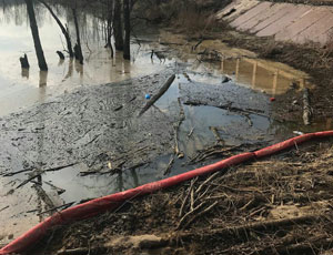 В подмосковные водоемы около «Домодедово» слили 50 тонн нефтепродуктов