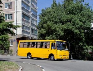 В Ялте водителя-хама сняли с маршрута