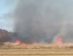 В Сысертском районе горит трава. Пожар быстро приближается к нефтебазе (ФОТО, ВИДЕО)
