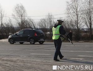Курганские полицейские устроят охоту на пьяных водителей