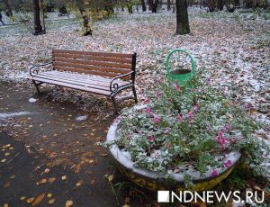 Глава Гидрометцентра сообщил, когда Москве ждать первый снег