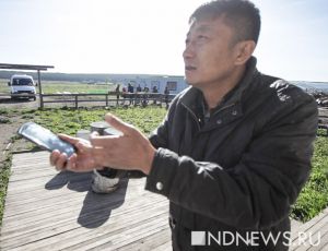 Облава на мигрантов в тепличных хозяйствах: липовые китайские инженеры разбегаются по полям и лесам (ФОТО, ВИДЕО)