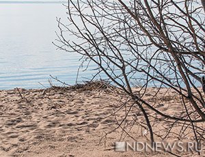 Крымские  инновации: в Судаке водоросли похоронили на пляже