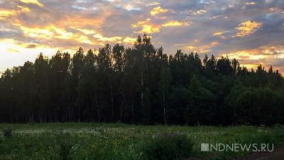 Прохлада и дожди в Подмосковье пошли на пользу краснокнижным растениям