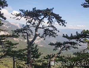 Чиновников будут штрафовать за разрешение застройки в заповедниках