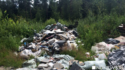 «Мусорное» Подмосковье: отходы теперь выгружают в лесах и вдоль дорог