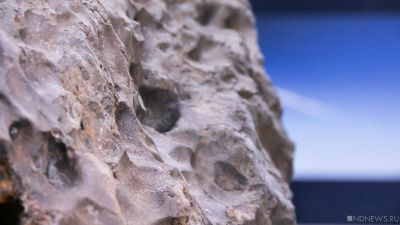 В Антарктиде обнаружили крупный метеорит