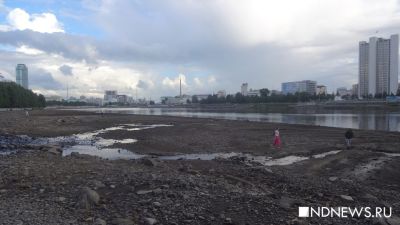 «Хочешь бросить камушек – дойди до водички»: в Екатеринбурге исчез Городской пруд (ФОТО)
