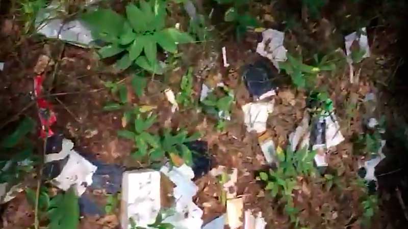 Под Липецком нашли кладбище посылок. «Почта России» считает видео постановочным