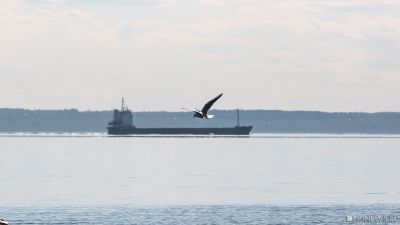 Румынский военный корабль получил пробоину, подорвавшись на мине в Черном море