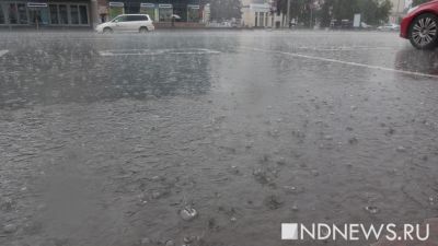 Участковым комиссиям Екатеринбурга придется работать в дождь на улицах