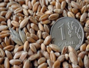 Южноуральским аграриям возместят затраты на элитные семена