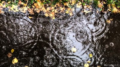 Ночной дождь в Москве: выпало 10% месячной нормы осадков