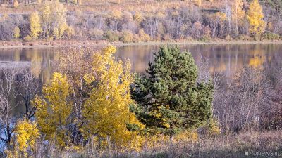 Синоптики рассказали, каким будет ноябрь