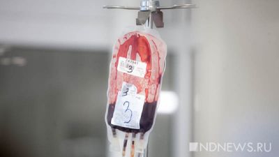 В России выросло число доноров крови