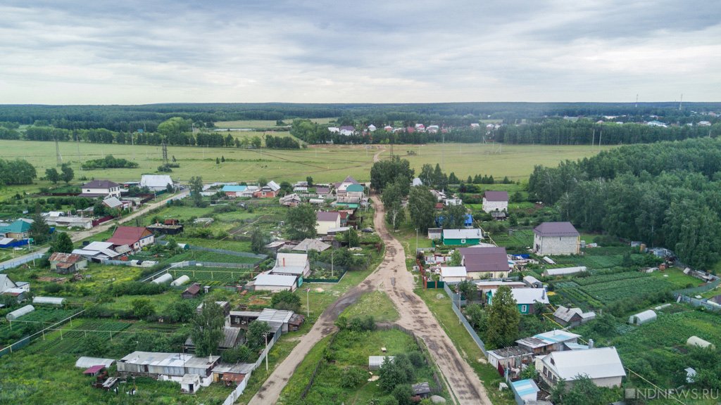 В Челябинской области неизвестные коммерсанты устроили нелегальную свалку останков животных