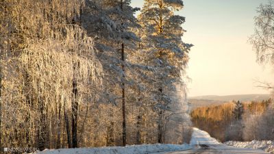 7 марта ожидаются следующие события – Челябинск