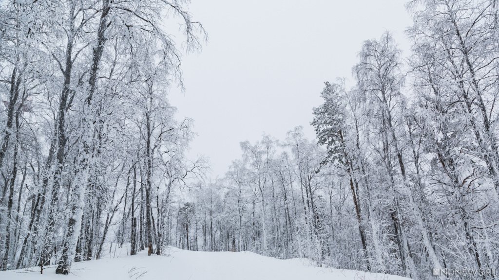 Обычный снегопад по традиции обернулся для Челябинской области большими неприятностями