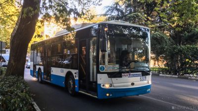 В Ялте признали проблемы в сфере общественного транспорта