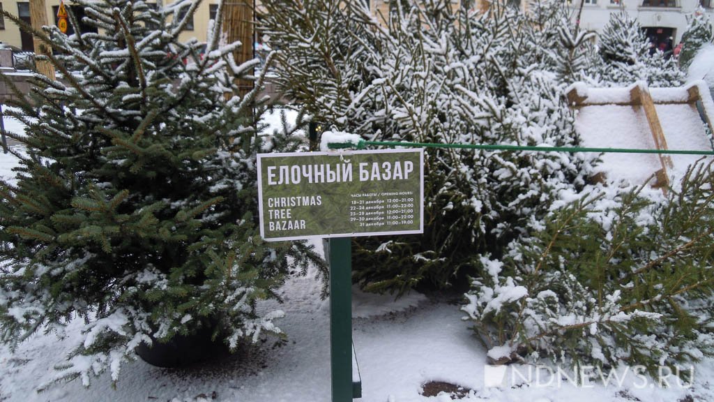 Екатеринбургский зоопарк принимает нераспроданные новогодние деревья