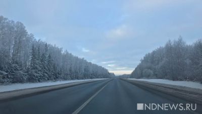 Из-за снежного шторма закрыта граница с Казахстаном: через Курганскую область не проехать